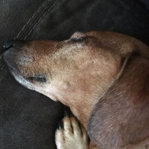 Meet your Posher, Bill